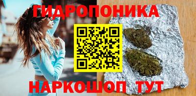 МДПВ Кимры